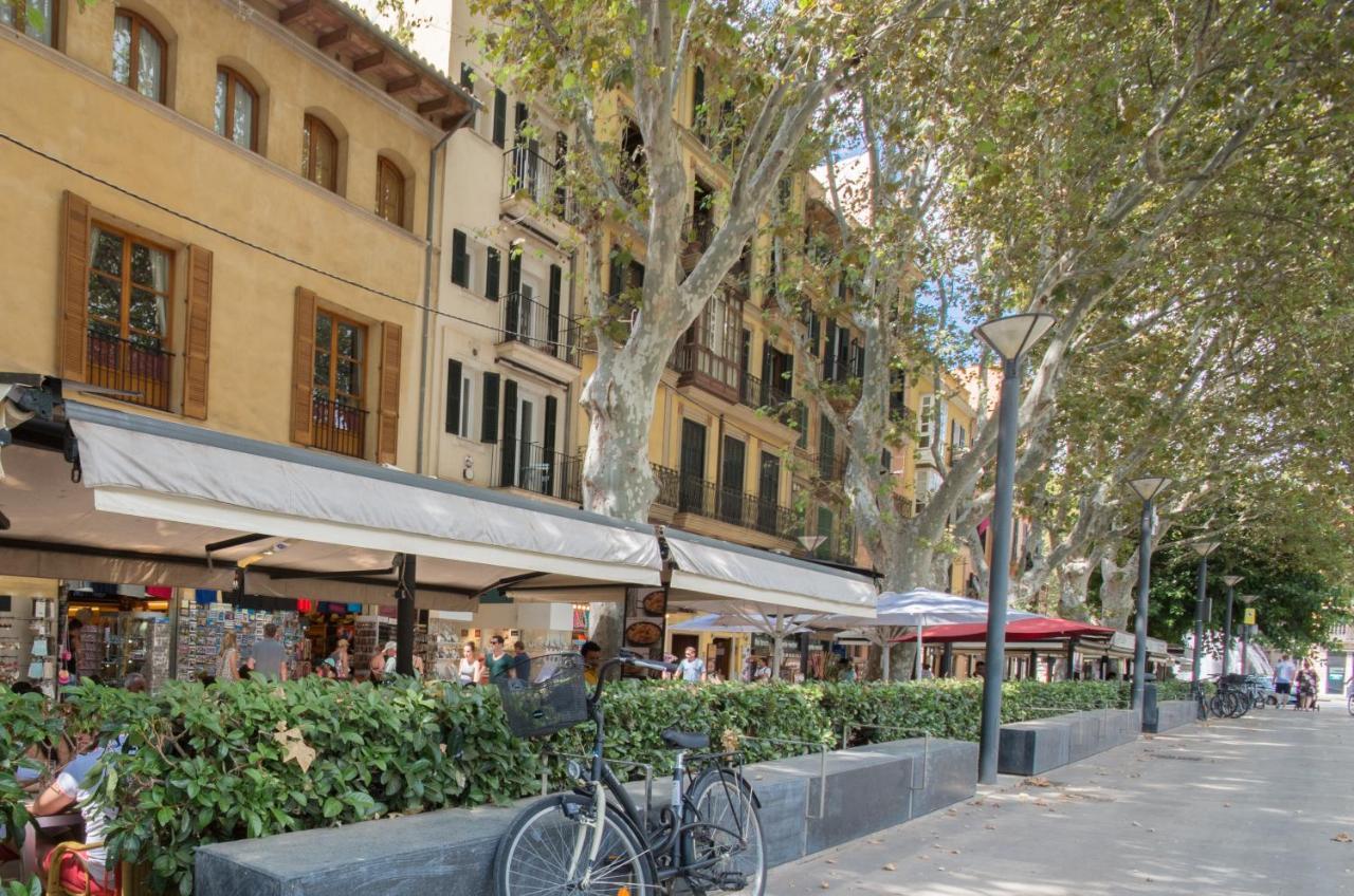 Marsuites Palma - Turismo De Interior Ti 162 Exteriér fotografie